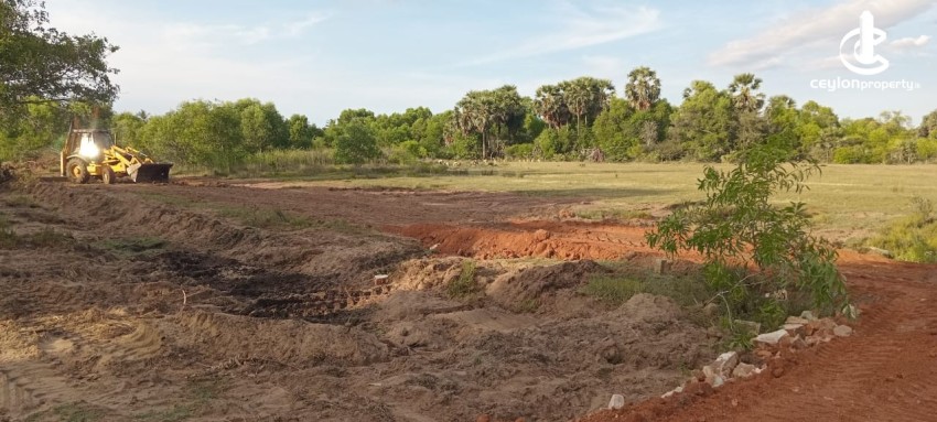 Land for Sale in Kalkudah - Land for Sale – Kalkudah (Passikudah Road) - photo 6