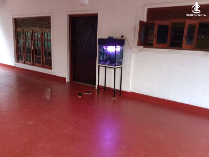 House for Sale in Anuradhapura - Valuable House for Sale Near Anuradhapura Main City - photo 1