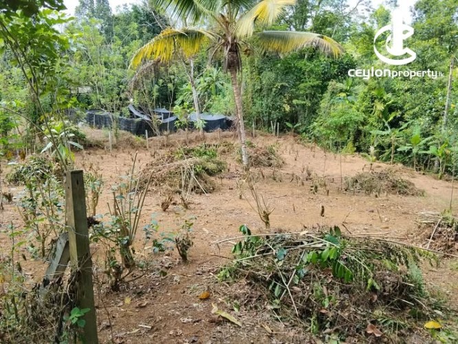 Land for Sale in Bope - Land for Sale – Ihala Bope, Kadanapitiya - photo 1