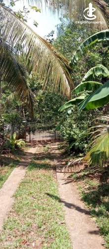 House for Sale in Weeraketiya - House for Sale in Weeraketiya - photo 3