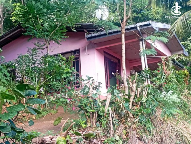 House for Sale in Kandy - House for Sale in Kandy - photo 2