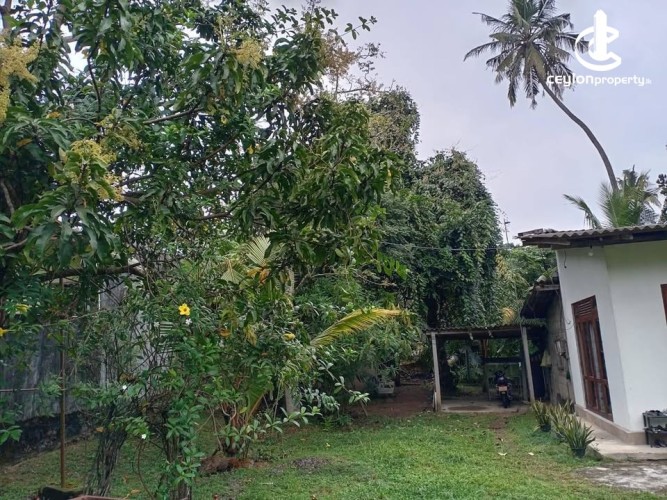 Land for Sale in Piliyandala - House with Valuable Land for Sale – Piliyandala - photo 4