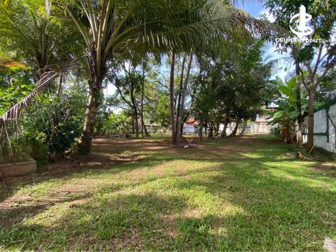 Other for Sale in Negombo - Two-Storied House With land for Sale in Negombo - photo 5