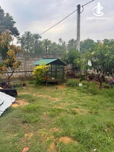 House for Sale in Negombo - House for Sale – Welihida - photo 4
