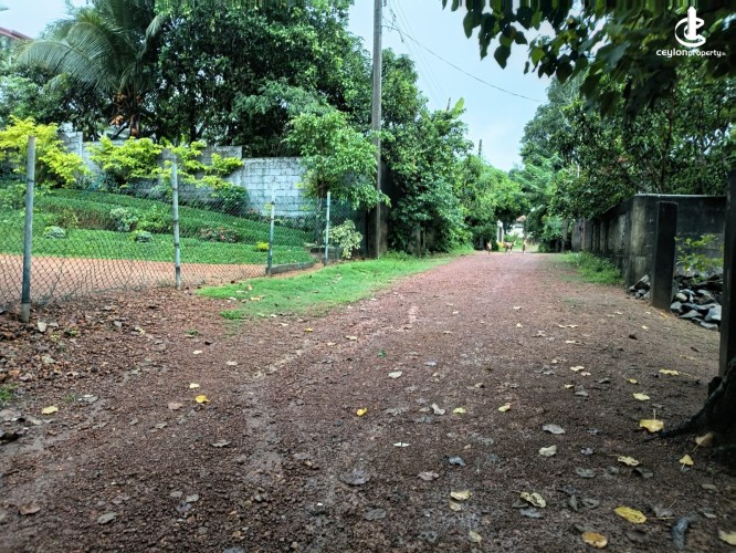 Land for Sale in Malabe - Valuable Land for Sale in Malabe - photo 2