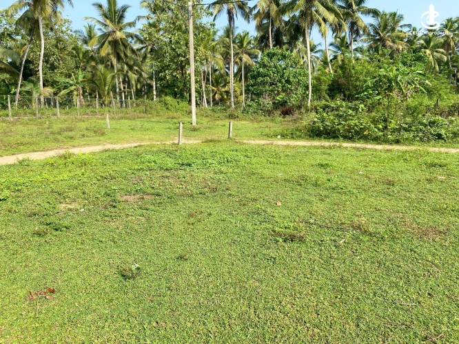 Land for Sale in Dompe - Prime Land for Sale in Dompe - photo 1
