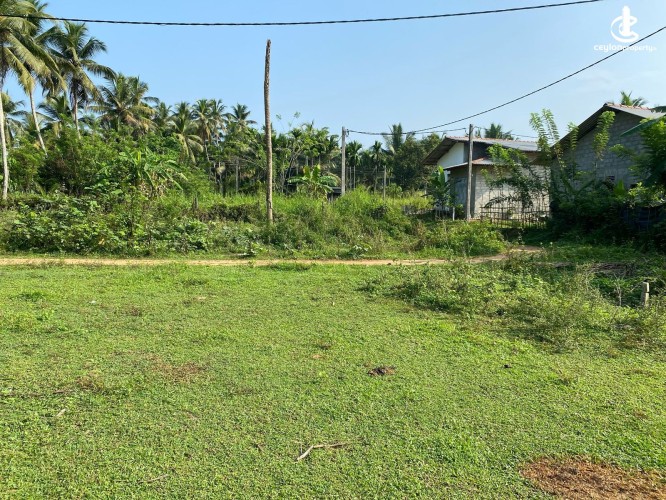 Land for Sale in Dompe - Prime Land for Sale in Dompe - photo 2