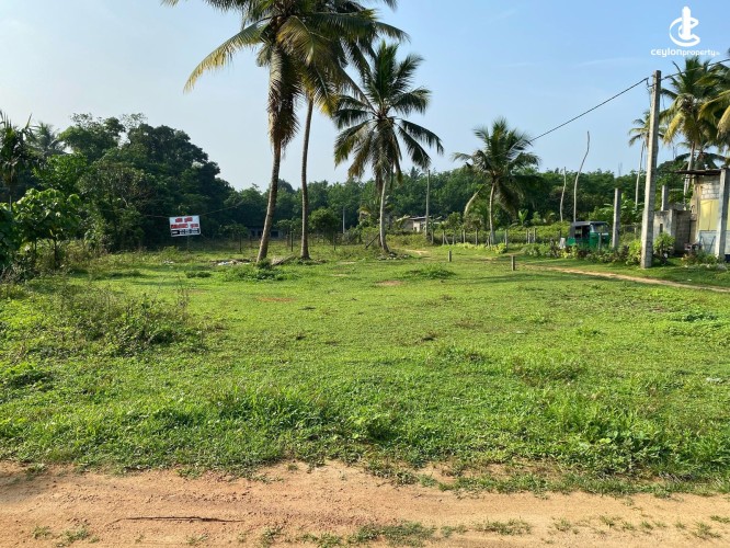 Land for Sale in Dompe - Prime Land for Sale in Dompe - photo 3