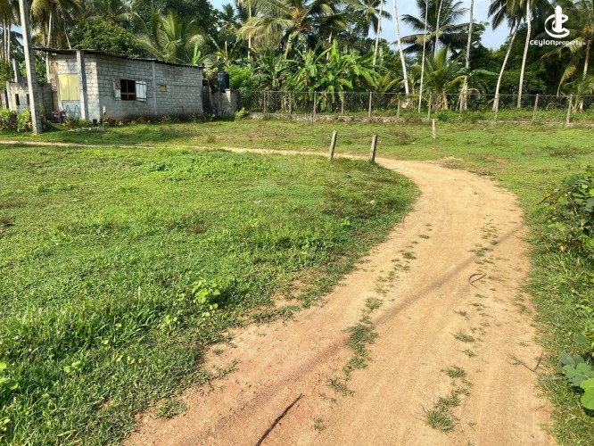 Land for Sale in Dompe - Prime Land for Sale in Dompe - photo 4