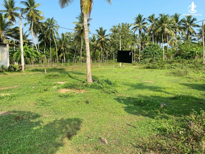 Land for Sale in Dompe - Prime Land for Sale in Dompe - photo 5