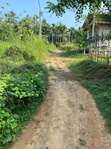 Land for Sale in Dompe - Prime Land for Sale in Dompe - photo 6