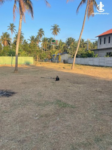 Land for Sale in Marawila - Valuable Land for Sale Near Marawila Town - photo 2