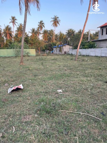 Land for Sale in Marawila - Valuable Land for Sale Near Marawila Town - photo 4