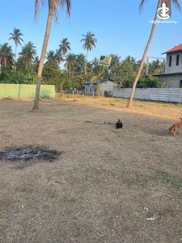 Land for Sale in Marawila - Valuable Land for Sale Near Marawila Town - photo 5