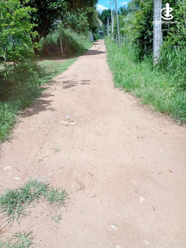 Land for Sale in Anuradhapura - Prime Land for Sale Near Anuradhapura City - photo 4