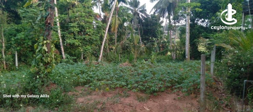 Land for Sale in Meegoda - Residential Land for Sale in Meegoda - photo 2