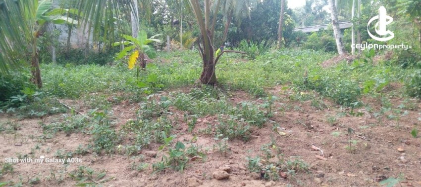 Land for Sale in Meegoda - Residential Land for Sale in Meegoda - photo 3