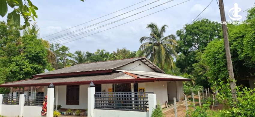 Land for Sale in Polonnaruwa - House With Land For Sale in Polonnaruwa - photo 6