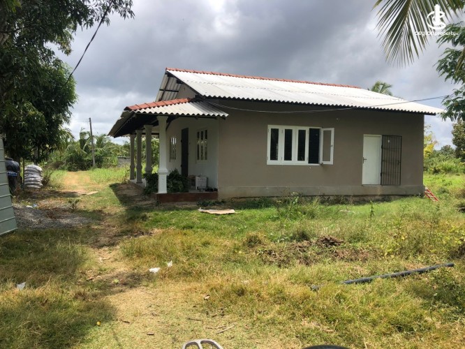 Land for Sale in Chilaw - Chilaw an Estate 6.5 Acres + Farm + Mixed Plantation For Sale - photo 3