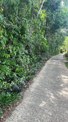 Land for Sale in Habaraduwa - Land for Sale in Habaraduwa