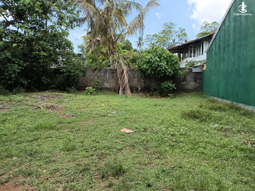 Land for Sale in Miriswatta - Land for Sale in Miriswatta