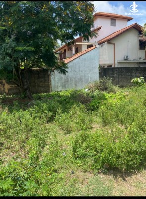 Land for Sale in Rajagiriya - Rajagiriya Walauwatta Road, 25.5 Perches of Land for Sale