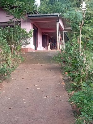 House for Sale in Kandy - House for Sale in Kandy