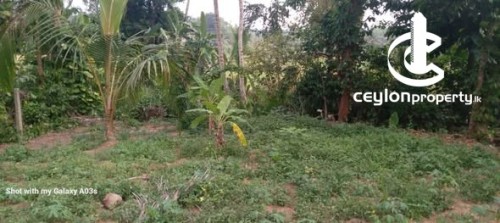 Land for Sale in Meegoda - Residential Land for Sale in Meegoda