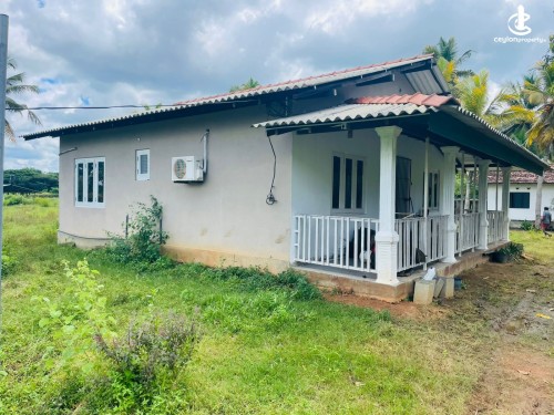 Land for Sale in Chilaw - Chilaw an Estate 6.5 Acres + Farm + Mixed Plantation For Sale